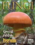 Vol. 18 No. 3 - MidSummer 2025