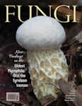 Vol. 18 No. 4 - Fall 2025
