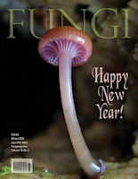 Vol. 18 No. 5 - Winter 2025