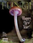 Vol. 18 No. 5 - Winter 2025