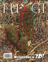 FUNGI  Magazine Winter 2022
